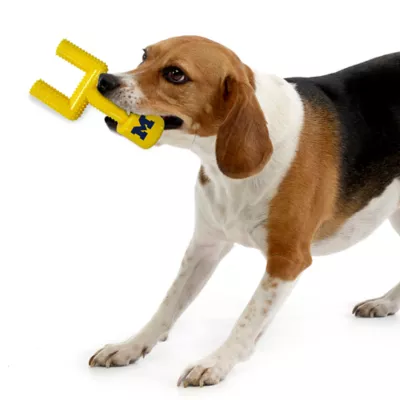 Product Michigan Hard Nylon Football Goal Post Dog Chew Toy