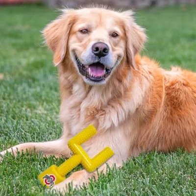 Product Ohio State Hard Nylon Football Goal Post Dog Chew Toy