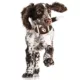 Product Oklahoma Hard Nylon Football Dog Chew Toy