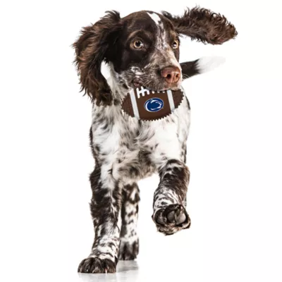 Product Penn State Hard Nylon Football Dog Chew Toy