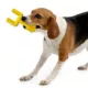 Product Tennessee Hard Nylon Football Goal Post Dog Chew Toy