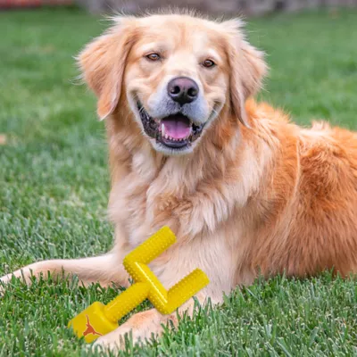 Product Texas Hard Nylon Football Goal Post Dog Chew Toy