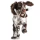 Product Wisconsin Hard Nylon Football Dog Chew Toy
