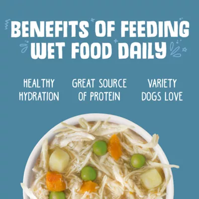 Product Weruva Dog Classic Adult Wet Dog Food - Grain Free, Shreds in Pumpkin Soup, 5.5 oz