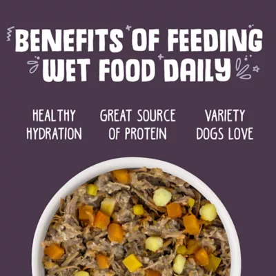 Product Weruva Dog Classic Adult Wet Dog Food - Grain Free, Shreds in Gravy, 5.5 oz