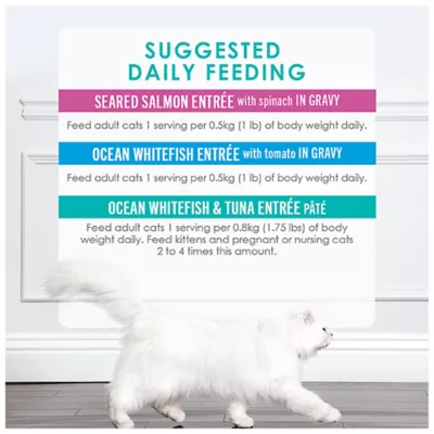 Product Fancy Feast Petite Wet Cat Food - Seafood 24 Count