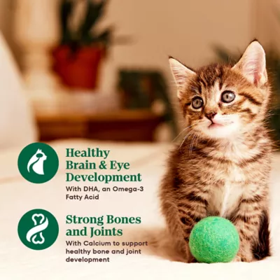 Product Nutro Cat - Kitten, Pate, Split Cup, Variety Pack, 12 CT, 31.7 OZ