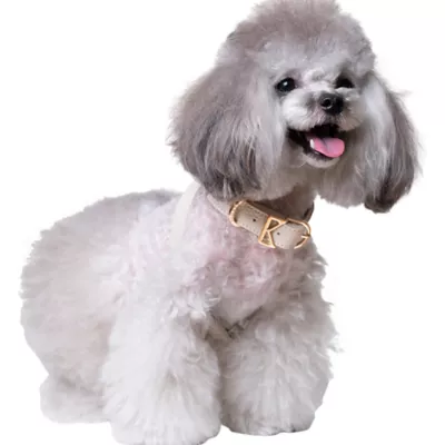 Product KANDOG Waterproof Dog Harness