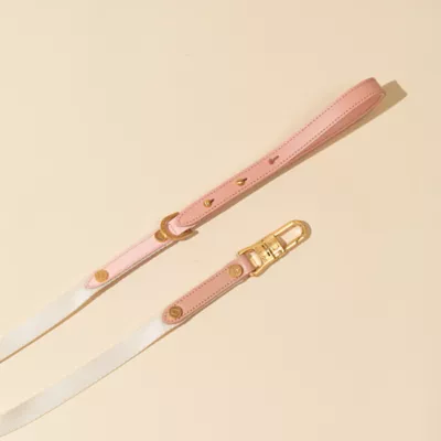 Product KANDOG Pastel Dog Leash