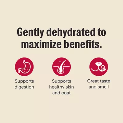 Product The Honest Kitchen Wholemade Grain Free Adult Dehydrated Dog Food - Chicken