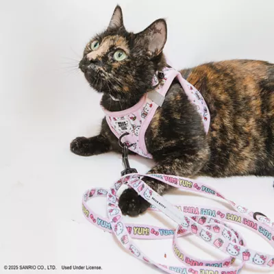 Product Sassy Meow Hello Kitty® Pink Cat Leash