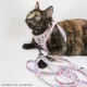 Product Sassy Meow Hello Kitty® Pink Cat Leash