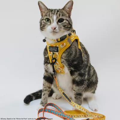 Product Sassy Meow Disney's Winnie The Pooh Step-In Cat Harness