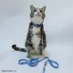 Product Sassy Meow Garfield Cat Leash