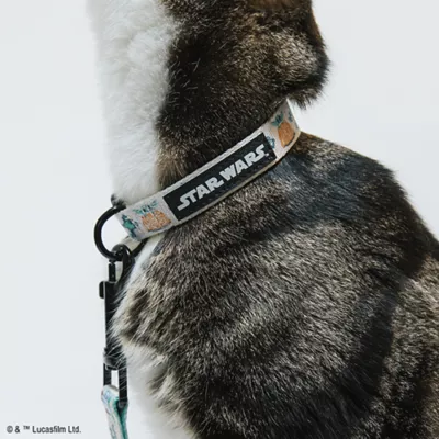Product Sassy Meow STAR WARS™ Child Cat Collar