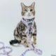 Product Sassy Meow Disney's Alice in Wonderland Step-In Cat Harness