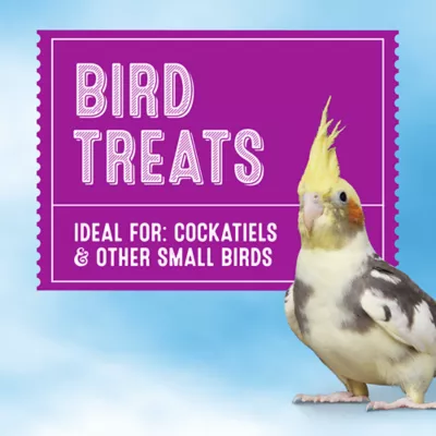 Product All Living Things® Fruit Flavored Cockatiel Crunchy Sticks