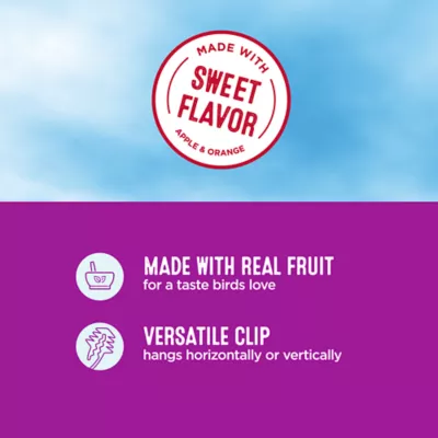 Product All Living Things® Fruit Flavored Cockatiel Crunchy Sticks