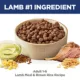 Product Hill's® Science Diet® Adult Dry Dog Food - Lamb & Brown Rice