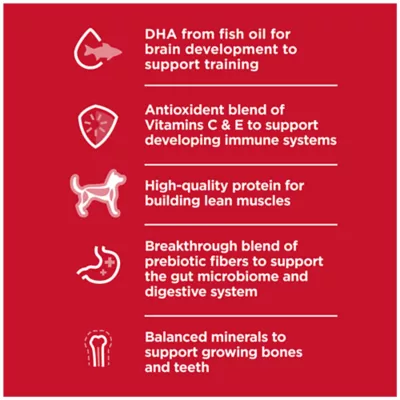 Product Hill's Science Diet Large Breed Puppy Dry Dog Food - Chicken & Oat