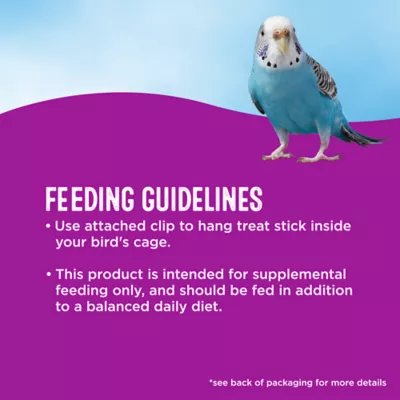 Product All Living Things® Crunchy Sticks - Orange, Kiwi, & Strawberry Flavored Parakeet Treats