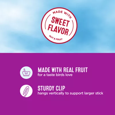 Product All Living Things® Crunchy Stick - Nut & Fruit Flavored Bird Treat for Parrots