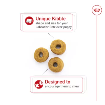 Product Royal Canin Breed Health Nutrition Labrador Retriever Puppy Dry Dog Food