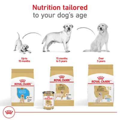 Product Royal Canin Breed Health Nutrition Labrador Retriever Puppy Dry Dog Food