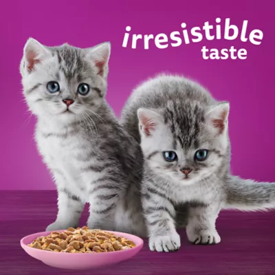 Product WHISKAS Favourites Kitten Wet Cat Food Morsels In Gelled Gravy Salmon - Pouch, 85g