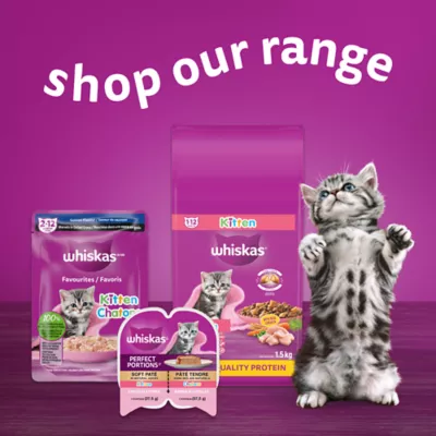 Product WHISKAS Favourites Kitten Wet Cat Food Morsels In Gelled Gravy Salmon - Pouch, 85g