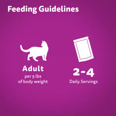 Product WHISKAS Favourites Kitten Wet Cat Food Morsels In Gelled Gravy Salmon - Pouch, 85g