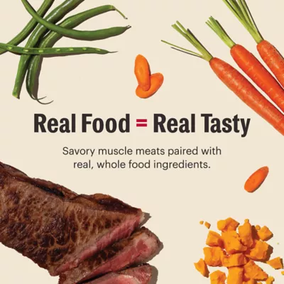 Product The Honest Kitchen Beef, Cheddar & Farm Veggies Pate All Life Stages Wet Dog Food - 10.5 oz