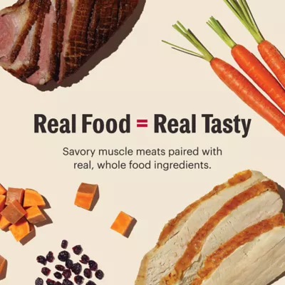 Product The Honest Kitchen Turkey, Duck & Root Veggies Pate All Life Stages Wet Dog Food - 10.5 oz