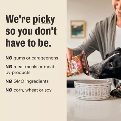 Product The Honest Kitchen Turkey, Duck & Root Veggies Pate All Life Stages Wet Dog Food - 10.5 oz