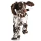 Product Tennessee Hard Nylon Football Dog Chew Toy