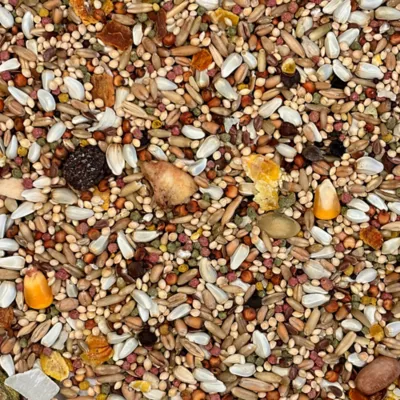 Product Higgin's Safflower Gold Conure & Cockatiel Food - 3 Lbs