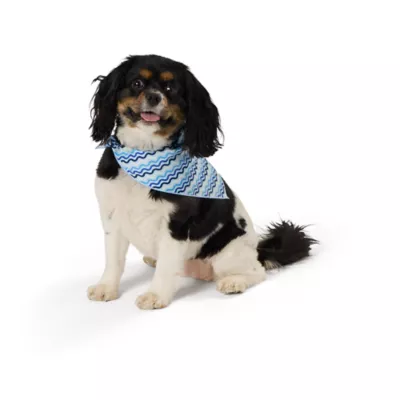 Product Top Paw® Makin' Waves Dog Bandanas 2-Pack