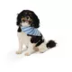 Product Top Paw® Makin' Waves Dog Bandanas 2-Pack