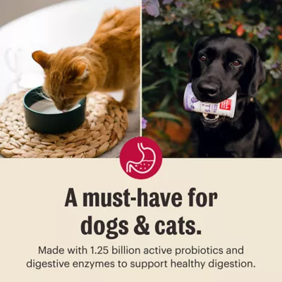 Product The Honest Kitchen Daily Boosters Dehydrated Goat's Milk All Life Stages Dog Food Topper