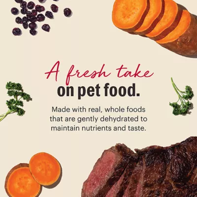 Product The Honest Kitchen Wholemade Grain Free Adult Dehydrated Dog Food - Beef