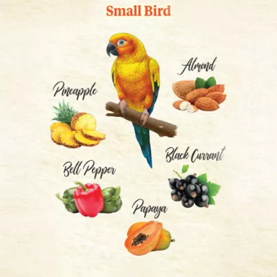Product KAYTEE® Food From the Wild Natural Snack Blend for Small Birds