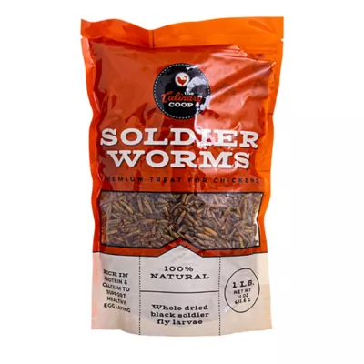 Product Culinary Coop Dried Soldier Worms