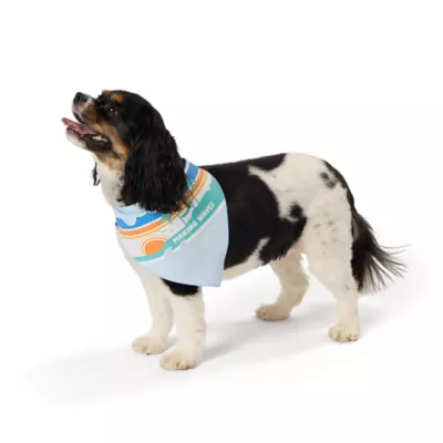 Product Top Paw® Makin' Waves Dog Bandanas 2-Pack