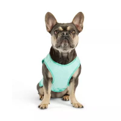 Product GF PET Ice Vest
