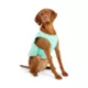 Product GF PET Ice Vest