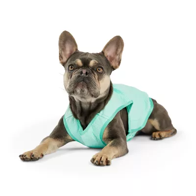 Product GF PET Ice Vest