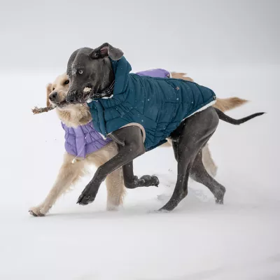 Product GF Pet Nordic Dog Parka