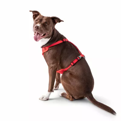 Product GF PET Travel Harness
