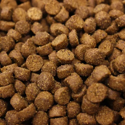 Product Higgins Intune Complete and Balanced Diet for Ferrets - Grain Free 4 Lb