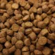 Product Higgins Intune Complete and Balanced Diet for Ferrets - Grain Free 4 Lb